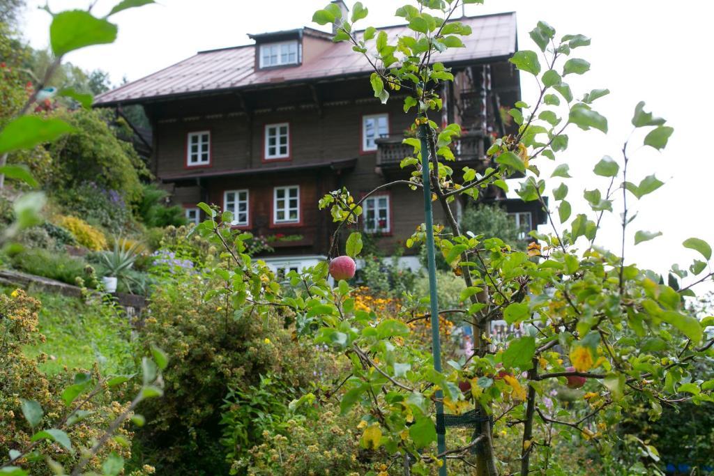 Landhaus Alpina Mittersill Exterior photo